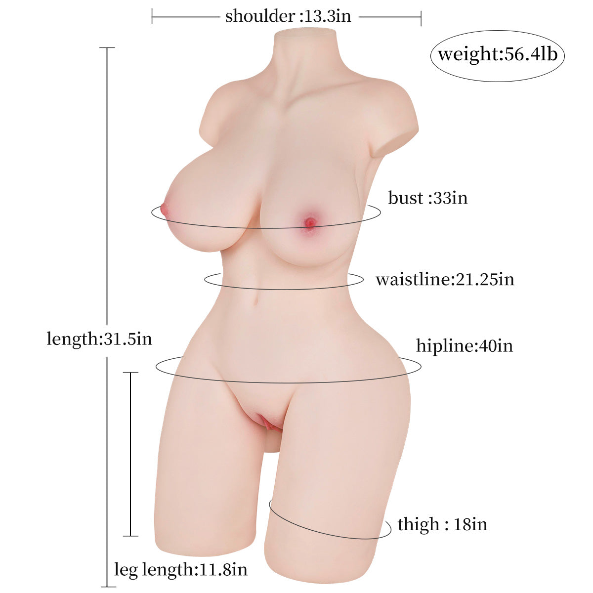 Ardélia | Lebensecht Sex Torso | Heiße Große